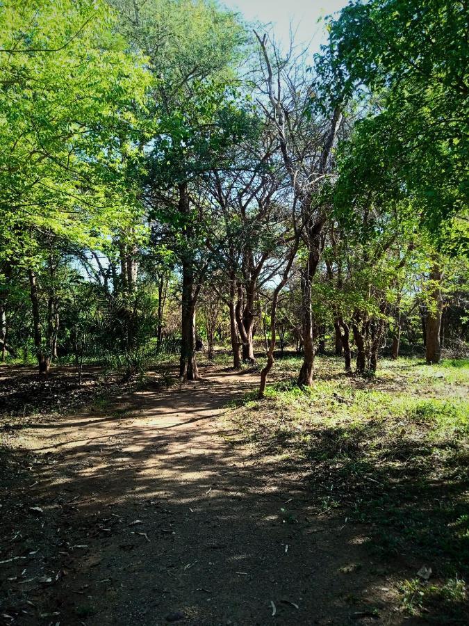 Munga Eco-Lodge Livingstone Eksteriør bilde
