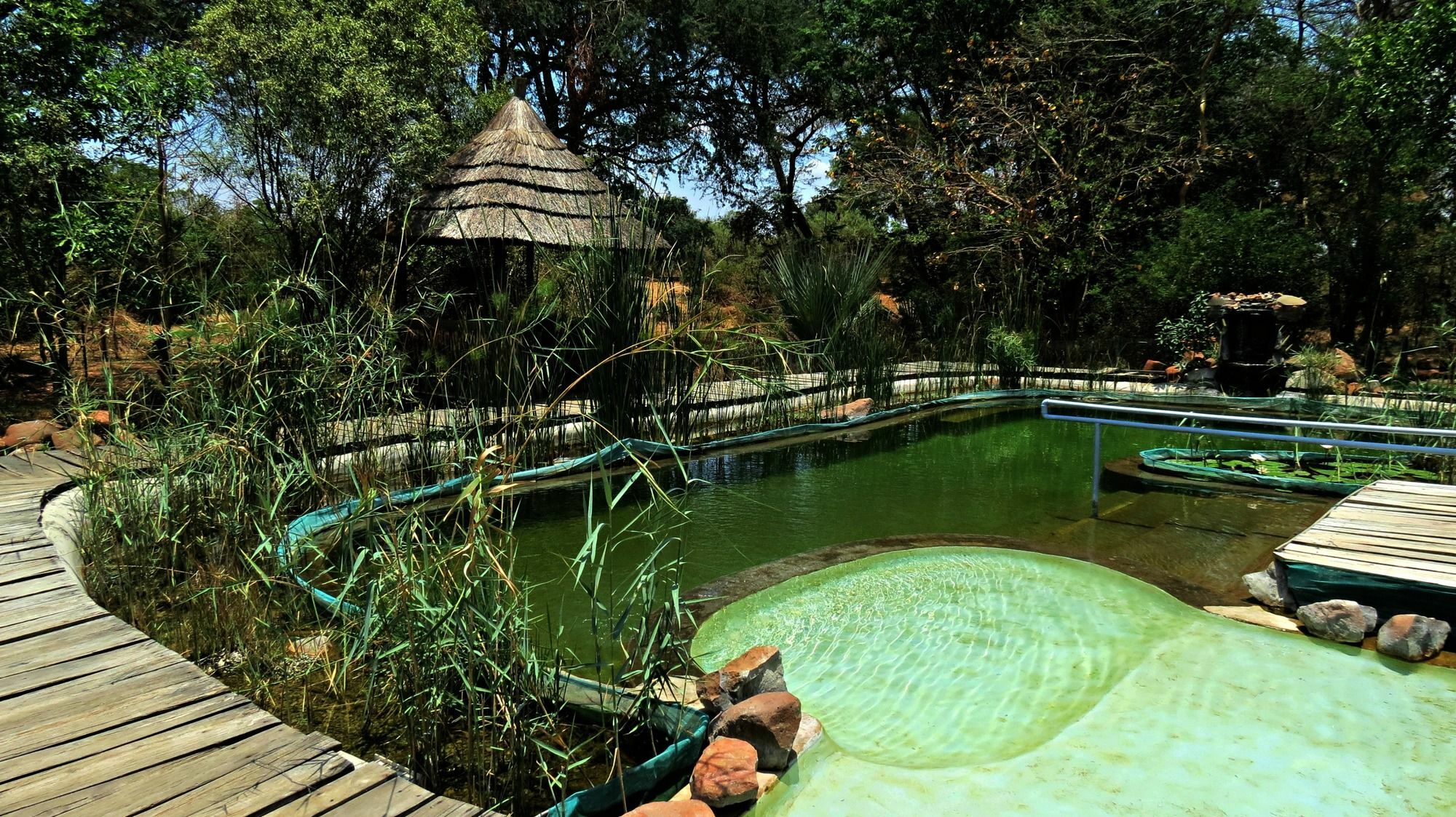 Munga Eco-Lodge Livingstone Eksteriør bilde